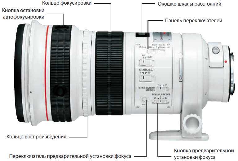 Настройки автофокуса nikon d3300