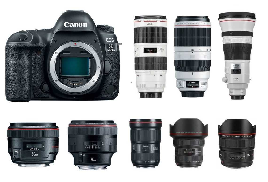Тест фотокамеры canon eos 5d mark iv: несовершенная икона среди зеркалок | ichip.ru