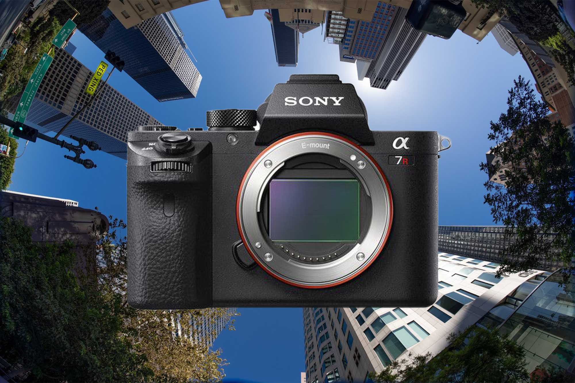 Sony alpha 7s и sony alpha 7s ii - сравнение фотоаппаратов