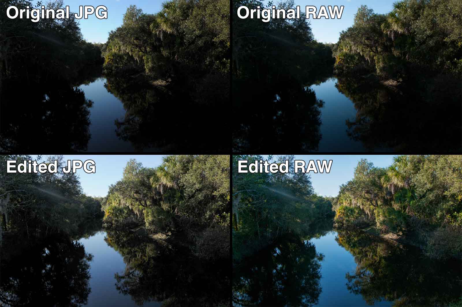 Raw против jpeg: полное руководство