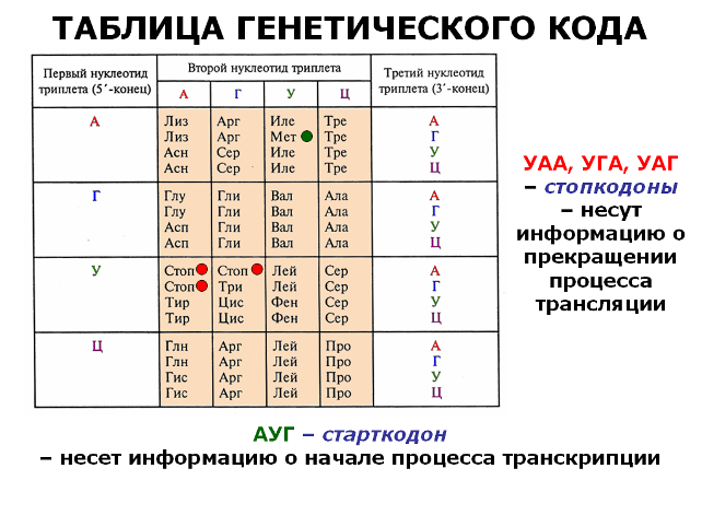 Статьи