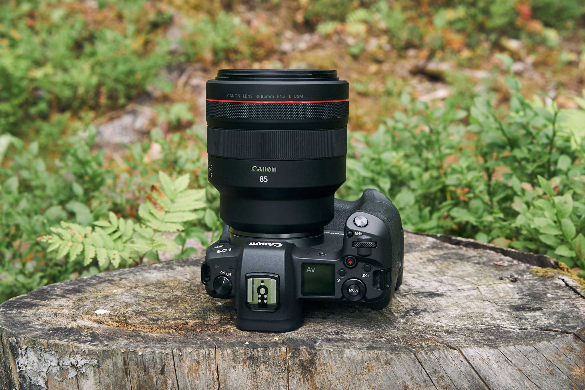 Canon ef-s 17-85mm f4~5.6 is usm lens review | cameralabs