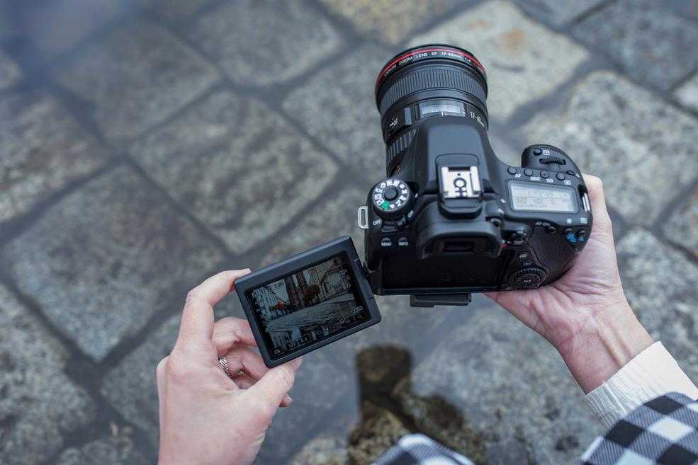 Canon eos 80d обзор и рейтинг - отзывы 2023