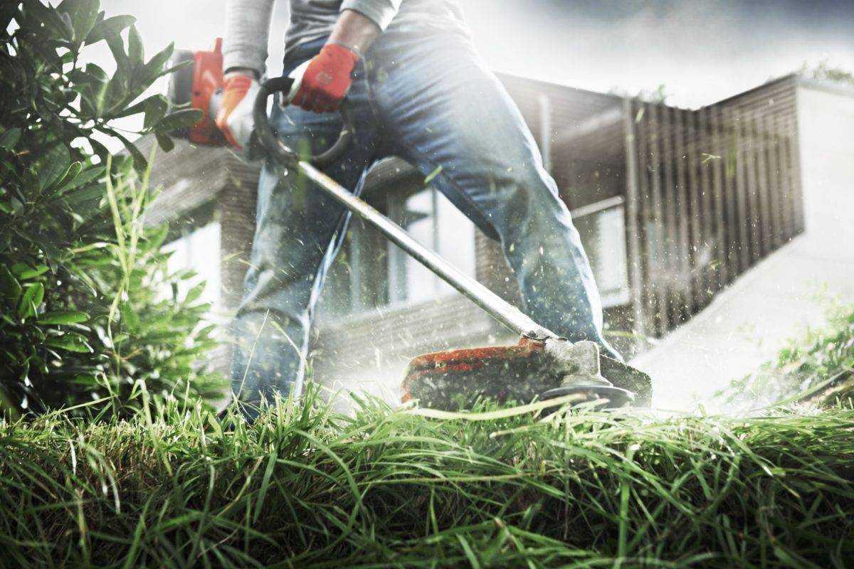 Как правильно косить газонную траву газонокосилкой