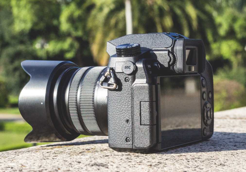 Рейтинг лучших профессиональных фотоаппаратов 2019—2020 года для тех, кто любит свое дело