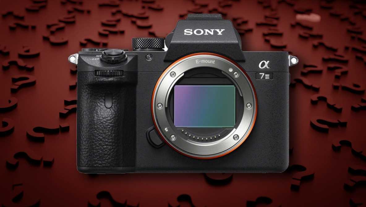 Тест профессиональной беззеркальной камеры sony a7r ii