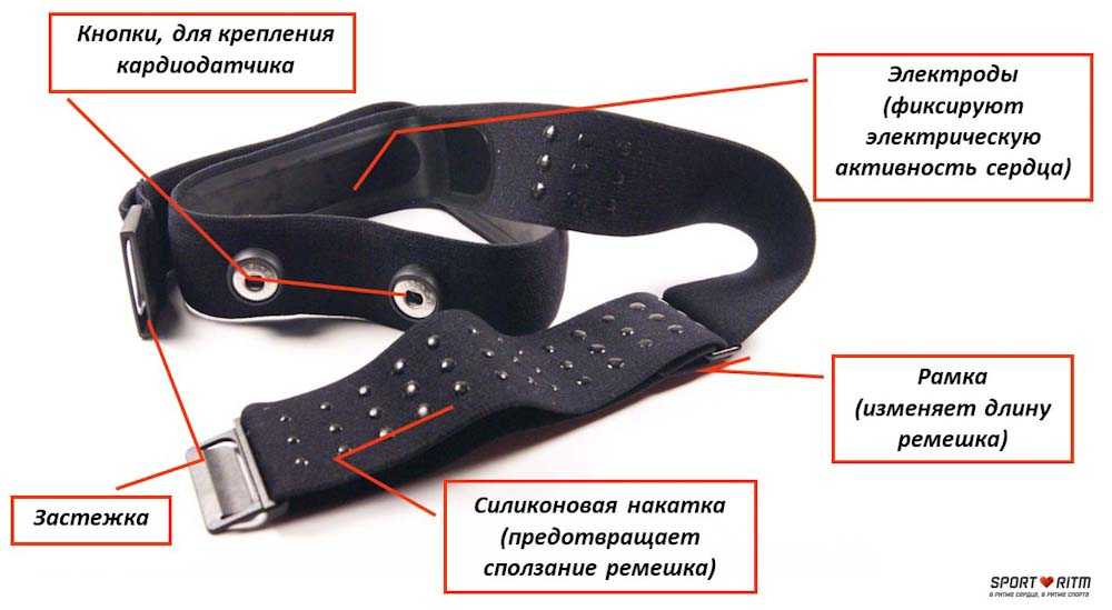 Для чего нужен пульсометр в спорте