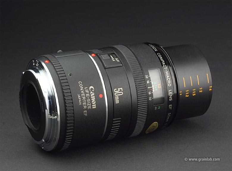 Canon ef 50mm f/2.5 compact macro lens review