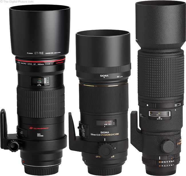 Sigma 150mm f/2.8 ex dg apo hsm macro lens review • points in focus photography
