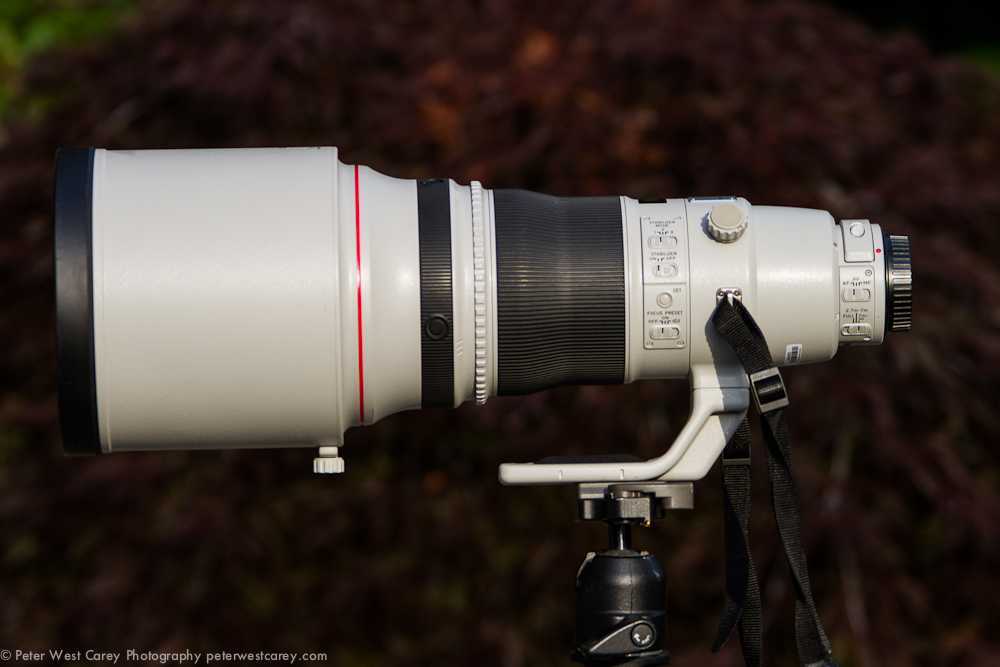 Обзор canon ef 100-400mm f/4.5-5.6l is ii usm
