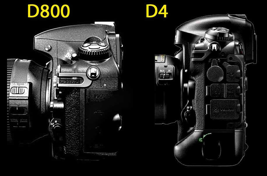 Nikon d300 и nikon d300s - сравнение фотоаппаратов