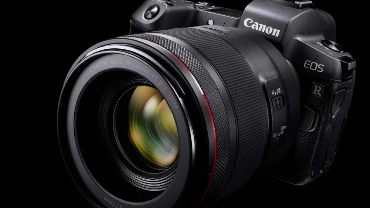 15 лучших макрообъективов для canon (и как выбрать свой?)
