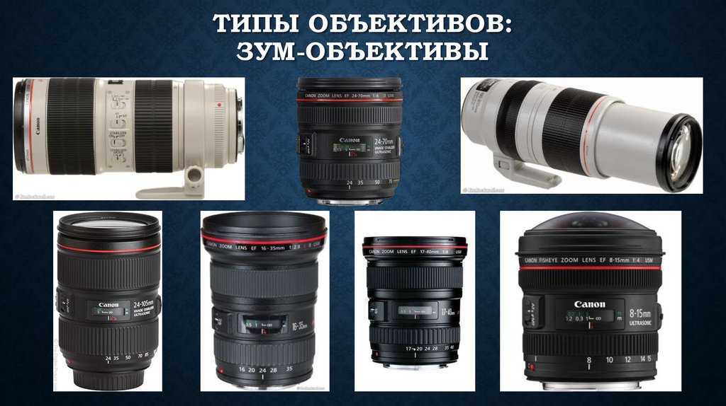 Обзор объектива Nikon AF Nikkor 75-300mm 1:45-56 Примеры фотографий на старый зум телеобъектив Отзывы на работу объектива
