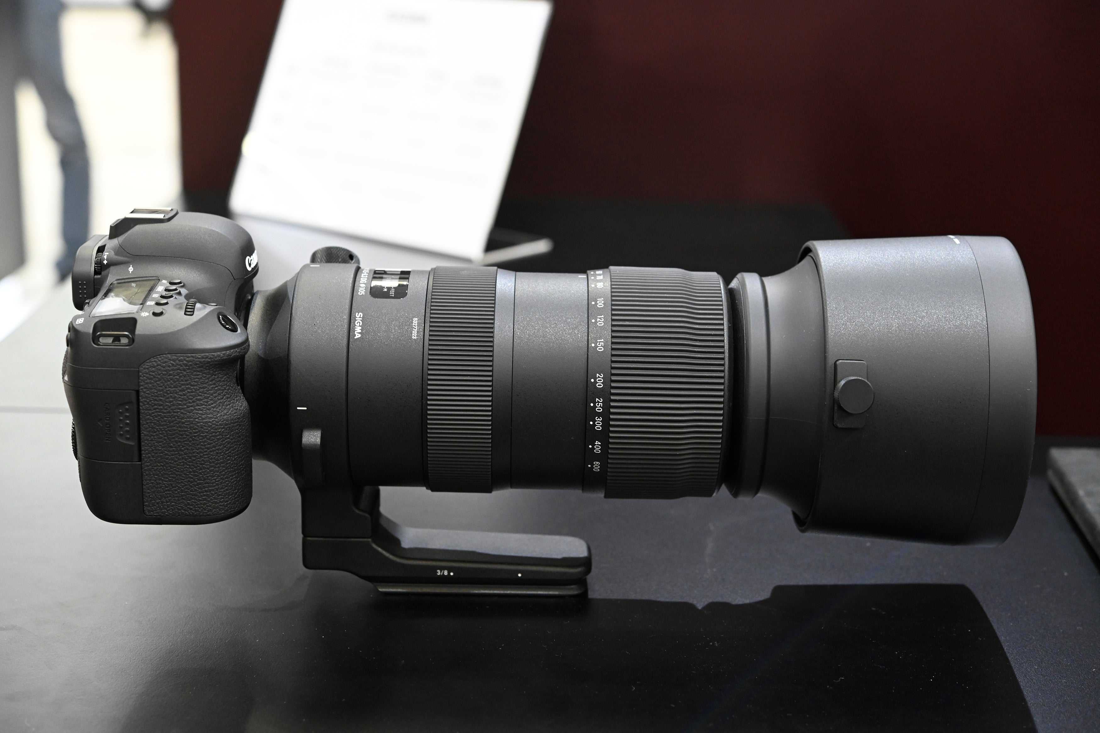Sigma 55-200 f/4-5.6 dc interchangeable lens review