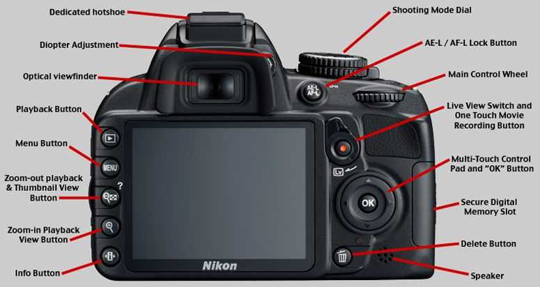 Nikon d3500 review