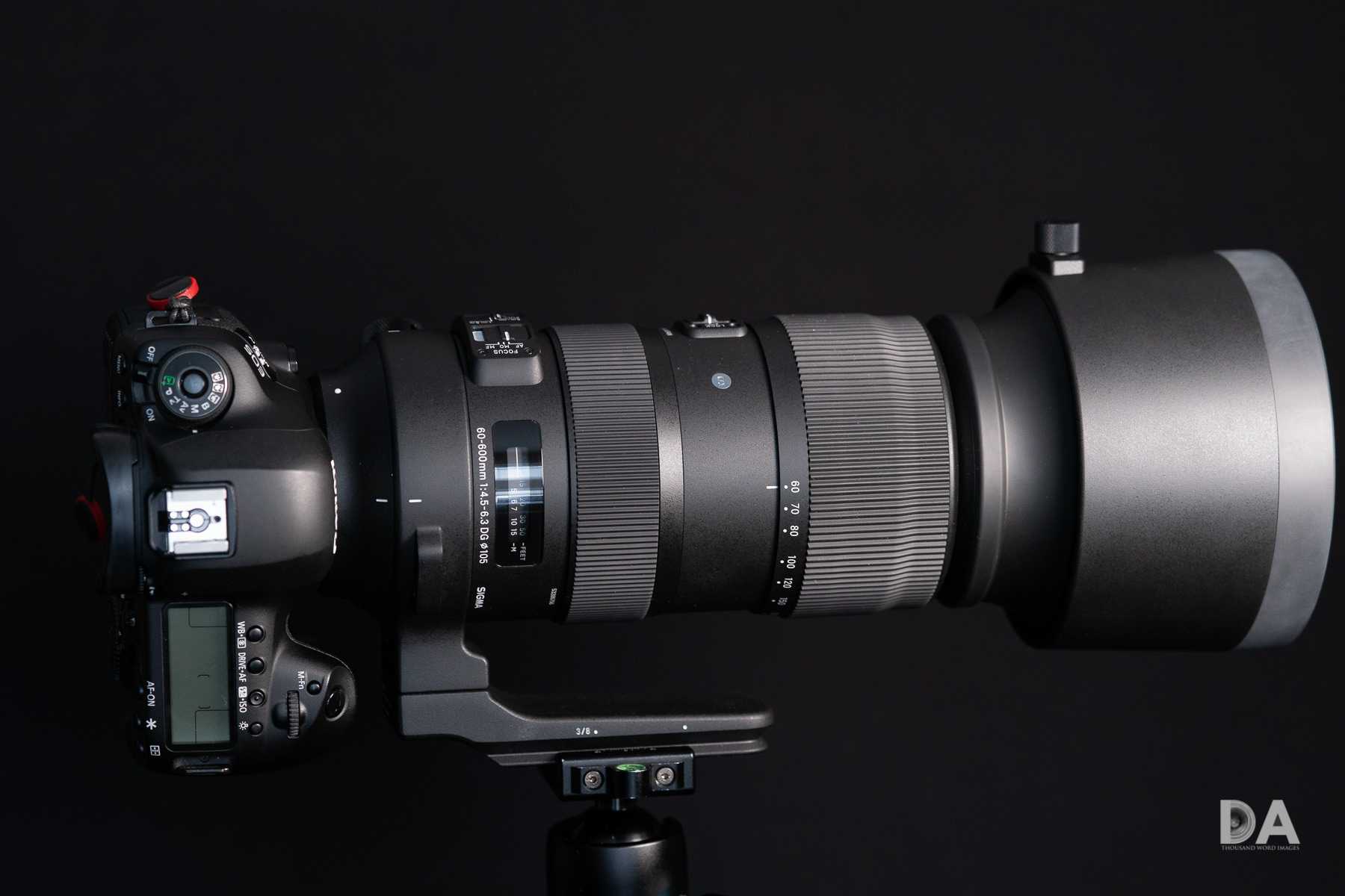 Sigma 60-600mm f/4.5-6.3 dg os hsm sports review | photography blog