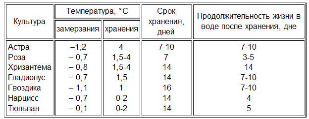 Можно ли эксплуатировать холодильник в неотапливаемом помещении
