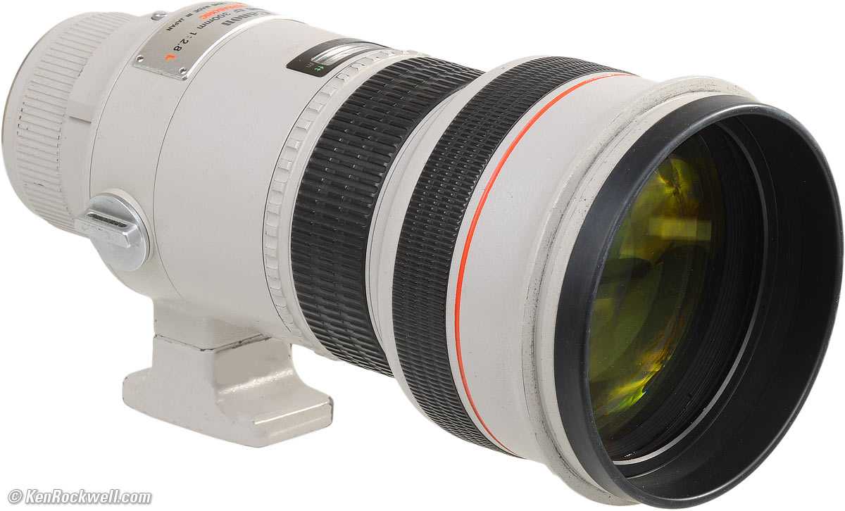 Tamron 200-400mm f/5.6 af ld if : specifications and opinions | juzaphoto