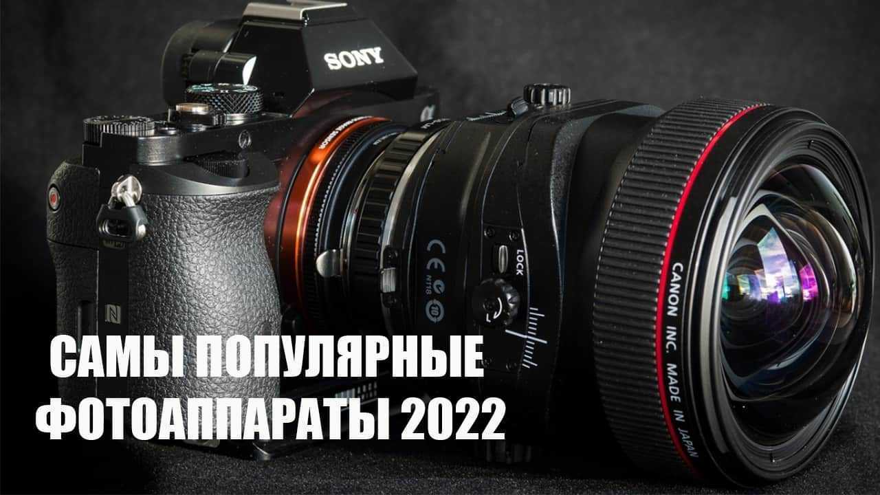 Тестируем и сравниваем зеркальные камеры nikon системы d | ichip.ru