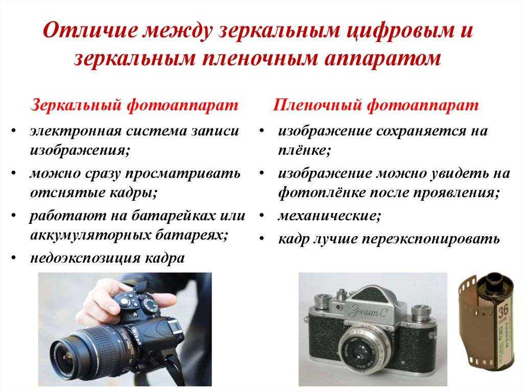 Зеркалка или беззеркалка - что лучше, 33 фото чем зеркальный фотоаппарат отличается от беззеркального, плюсы и минусы