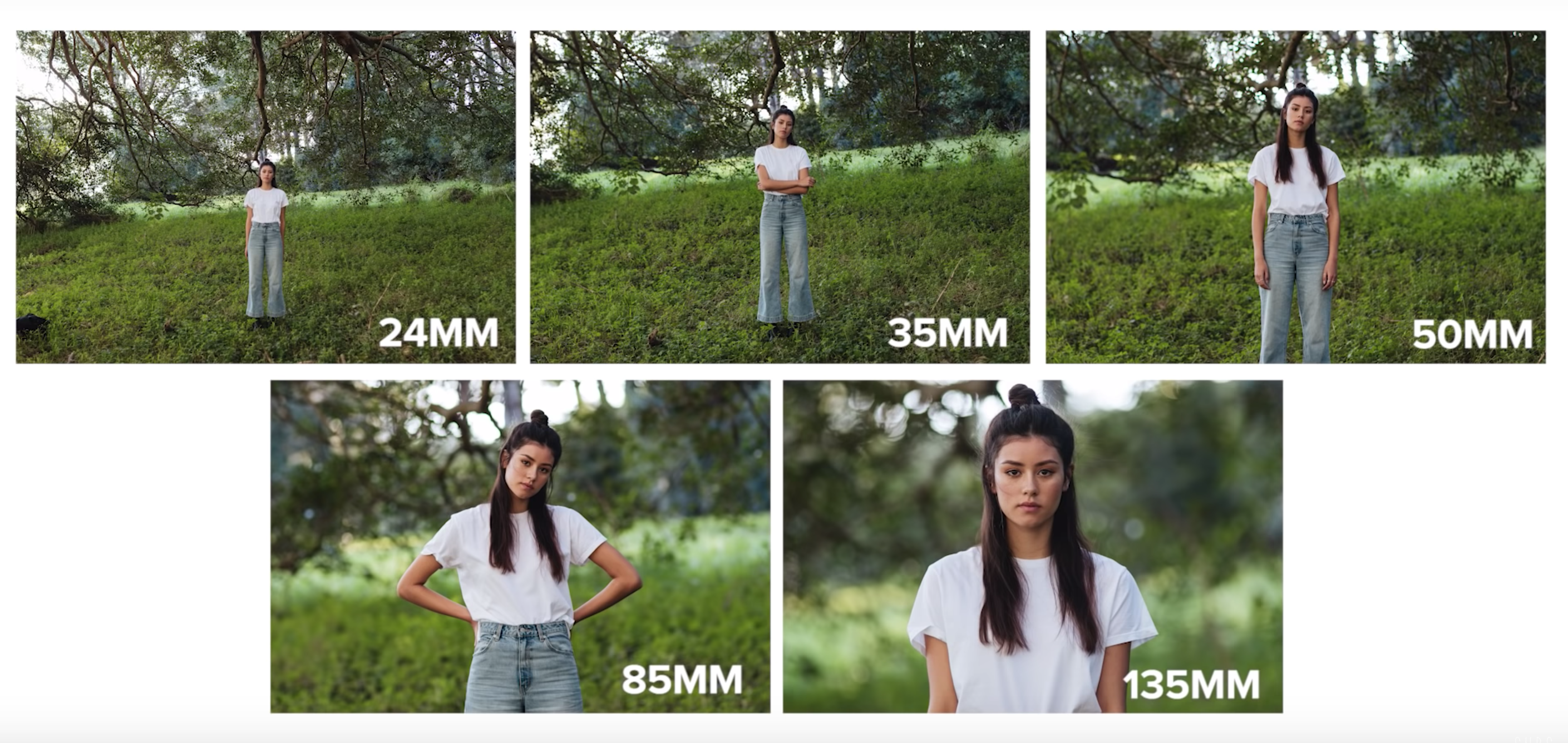 Oleg novikov photography » af nikkor 85mm f/1.8d lens review