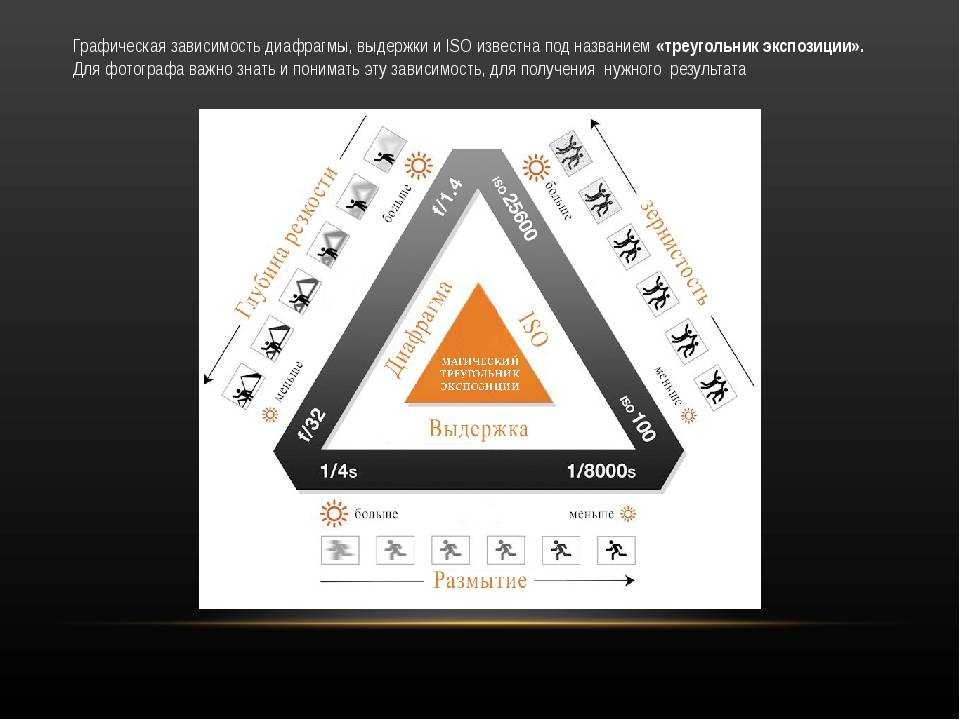 Экспозиция. поправка экспозиции. что такое экспозиция и как ее корректировать.