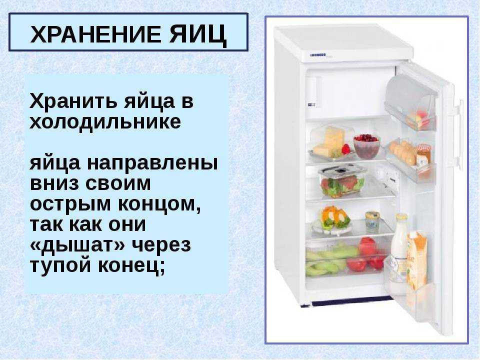 Где в холодильнике холоднее вверху или. Срок хранения яиц в холодильнике. Хранение яиц в холодильнике срок хранения. Срок хранения яиц в холодильнике сырых. Условия хранения продуктов в холодильнике.