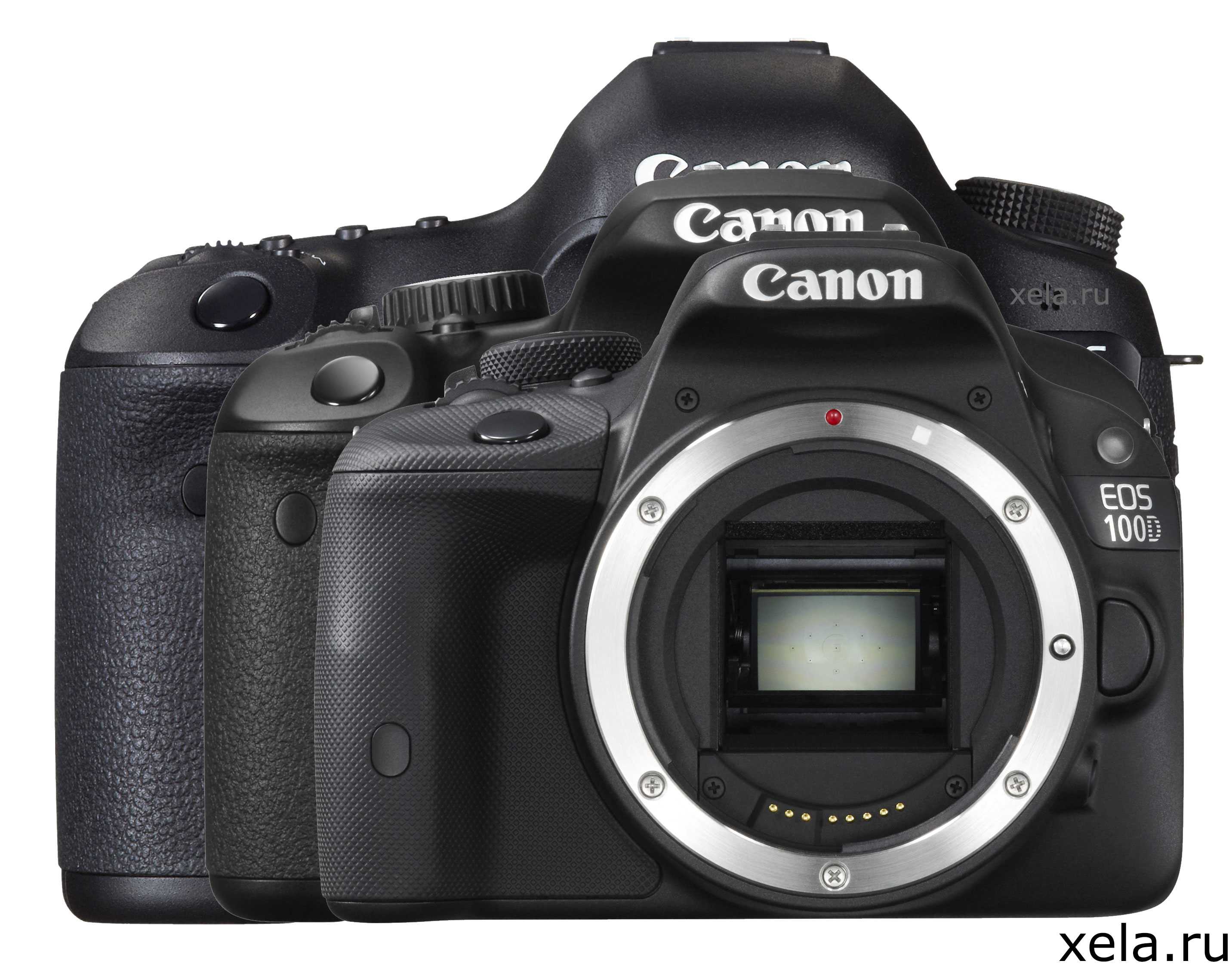 Eos 100d обзор: полный обзор фотокамеры canon eos 100d: самая маленькая зеркалка — главная — фотошкола юургу