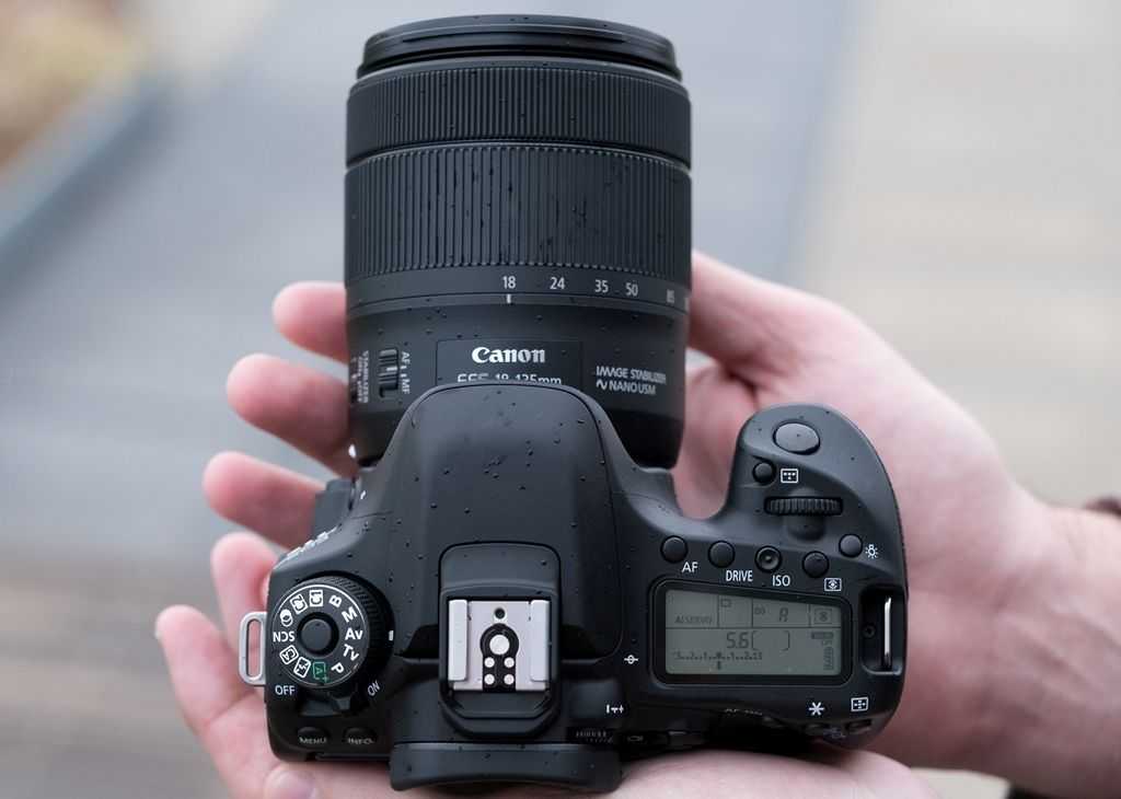 Canon eos 80d обзор и рейтинг - отзывы 2023