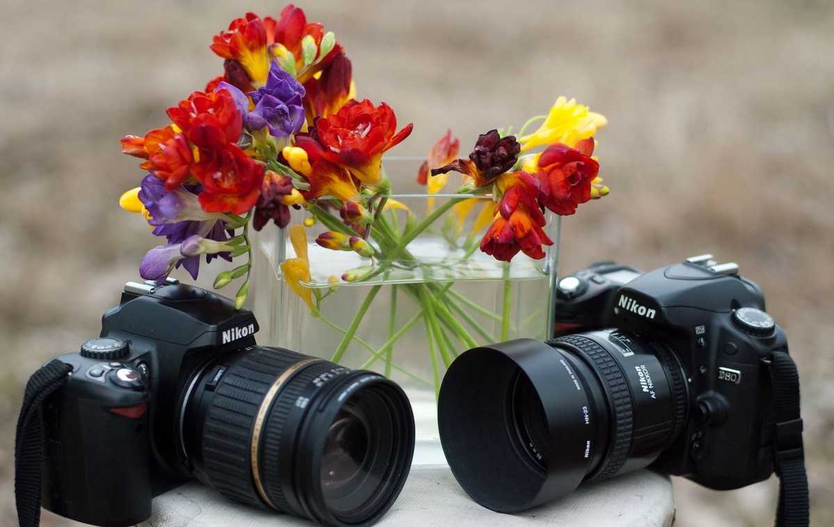 Обзор nikon d5000