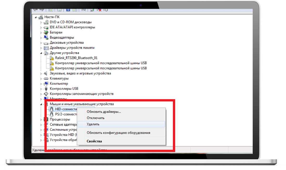 Как включить тачпад на ноутбуке hp?