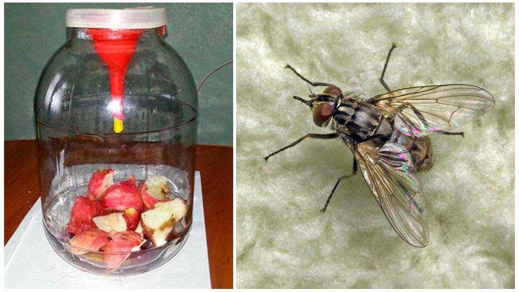 Уличная ловушка для комаров: электрическая, газовая, сделанная из бутылки своими руками