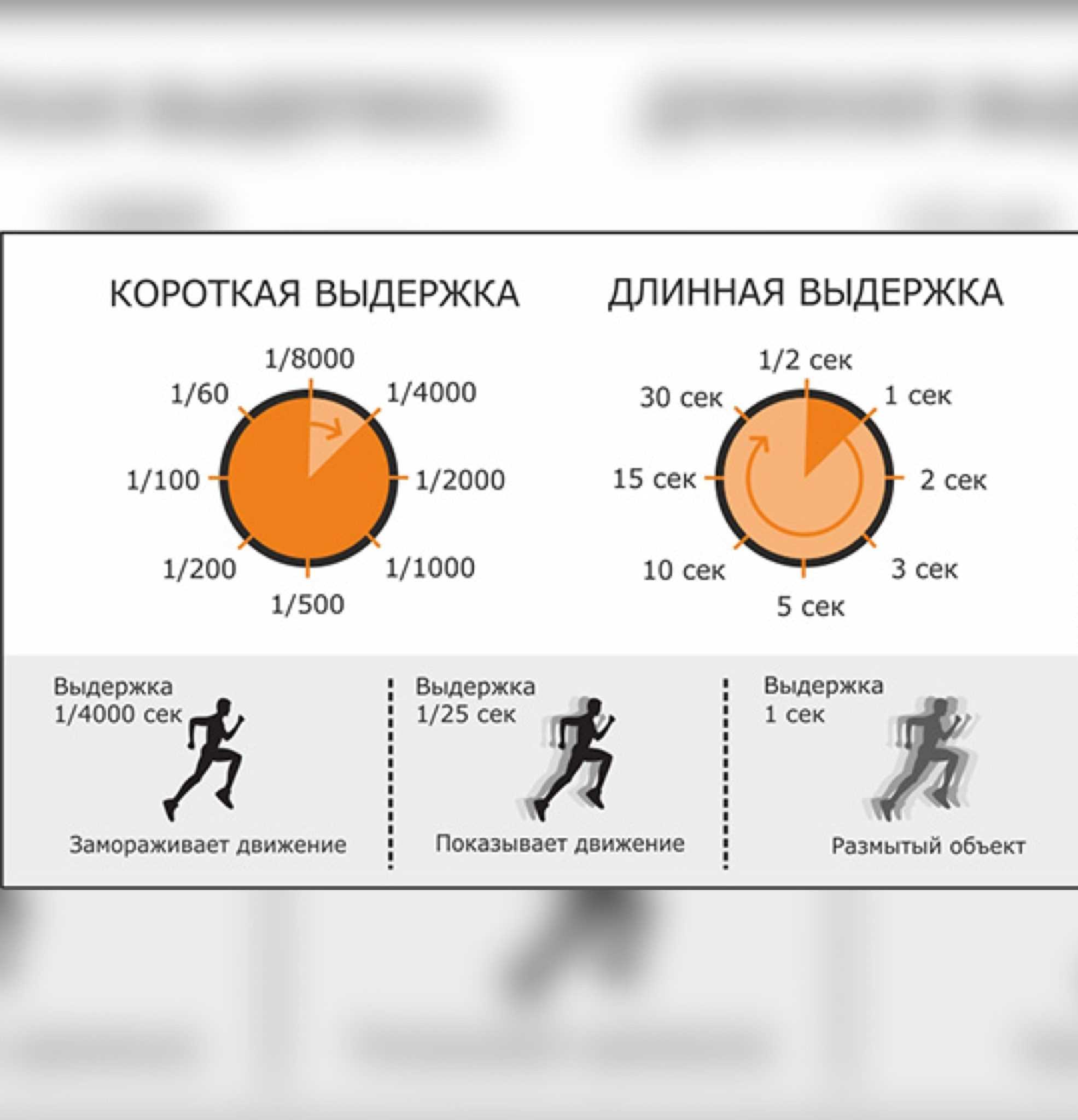 Зеркальная камера nikon d7200: проверяем точки для творческого роста