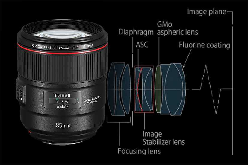 Восемь лучших портретных объективов для зеркалок canon