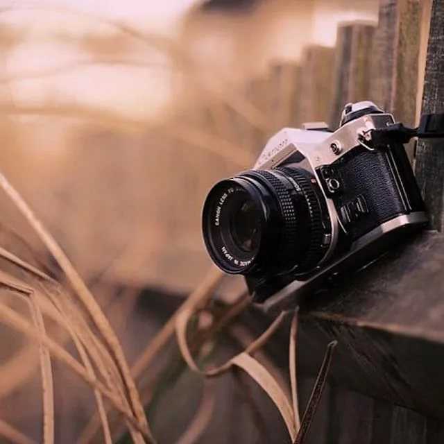 Советские объективы на canon 600d. блог дмитрия евтифеева. что для начала можно подобрать из старых объективов