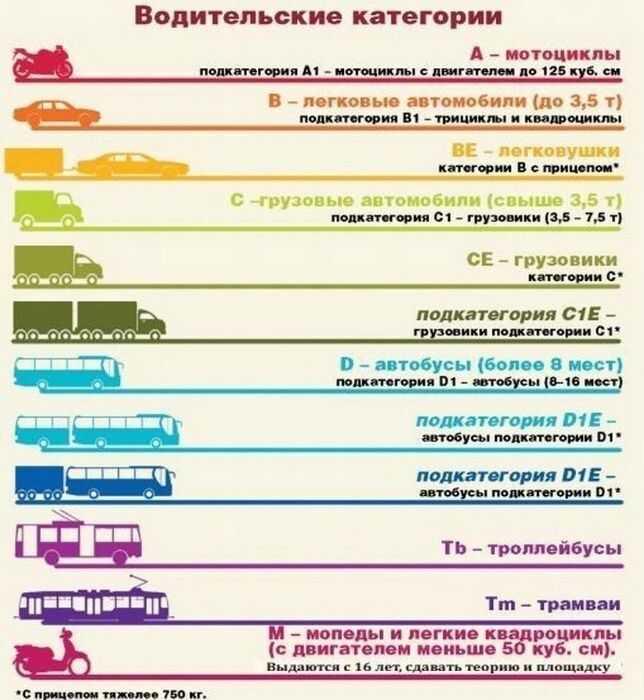 Квадрицикл, квадроцикл и трицикл: отличия и особенности