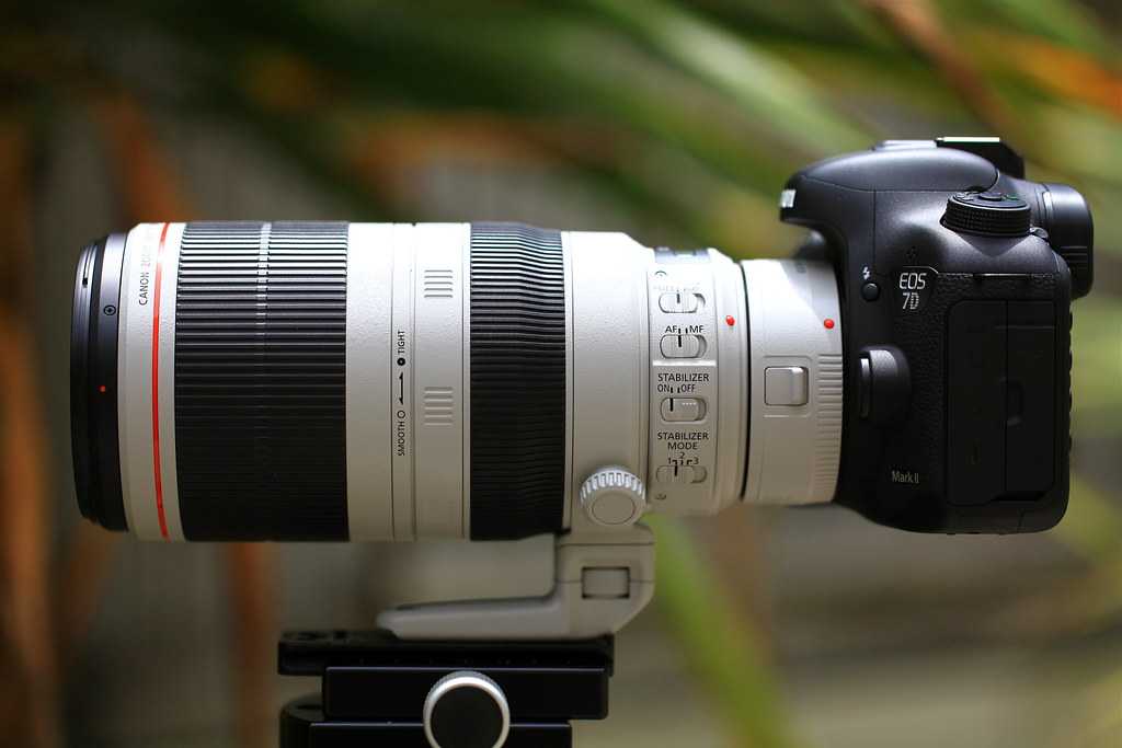 Canon  ef 70-300mm f/4.5-5.6 do is usm