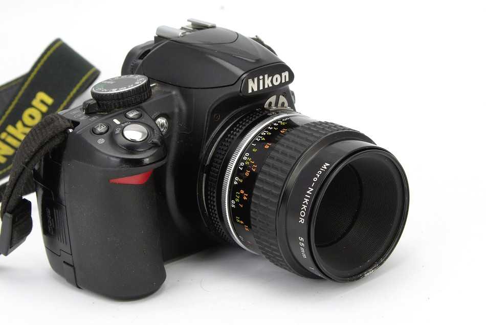 Сравнение nikon d5100 и nikon d3100