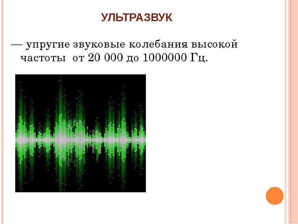 🐈как выбрать гуманный отпугиватель собак и на какие варианты обратить внимание