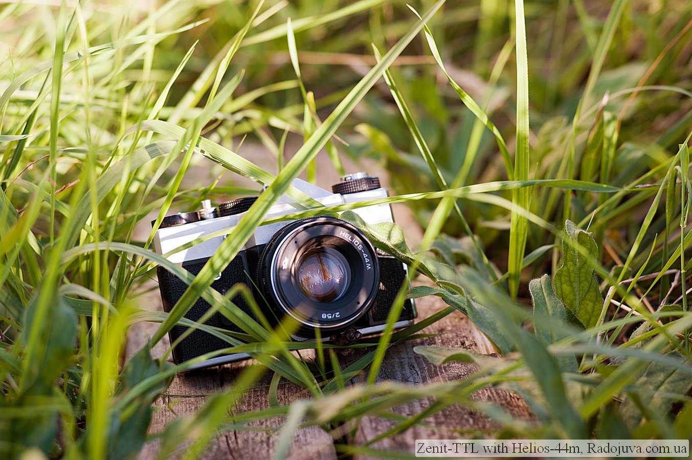 Обзор макроколец fujifilm mcex-11 и mcex-16