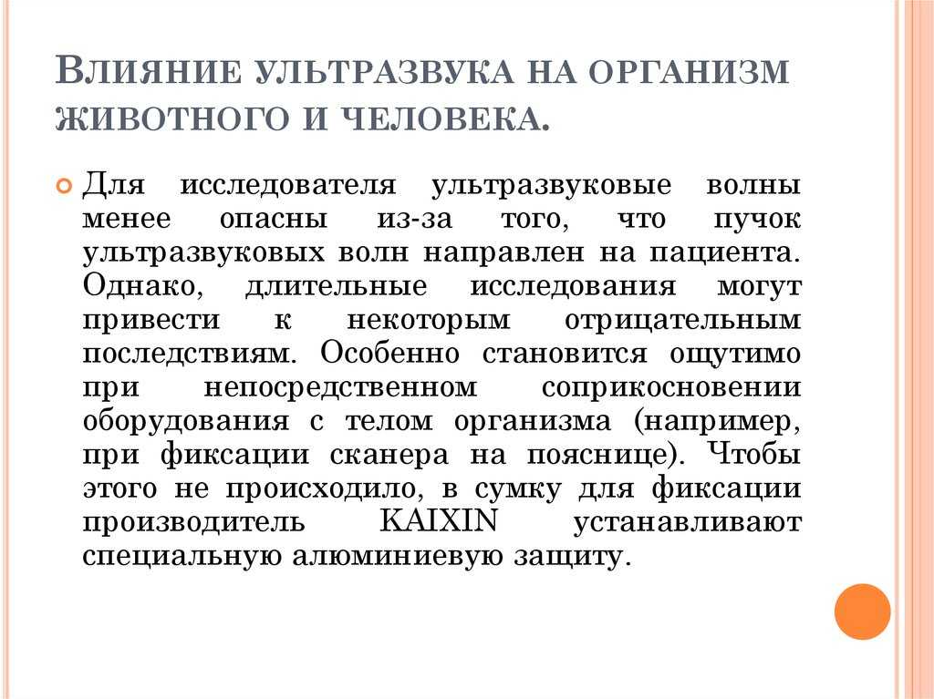 Рейтинг топ 7 лучших отпугивателей собак: какой выбрать