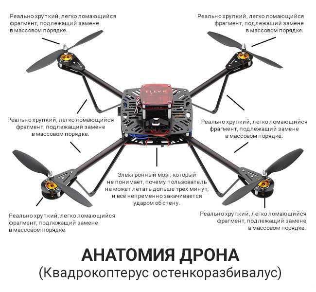 Квадрокоптер и дрон - в чем разница: или это одно и тоже?