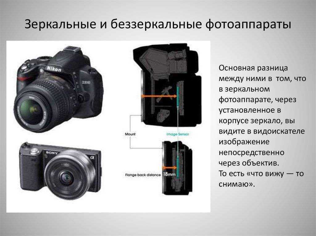Отзывы nikon z 6 body
