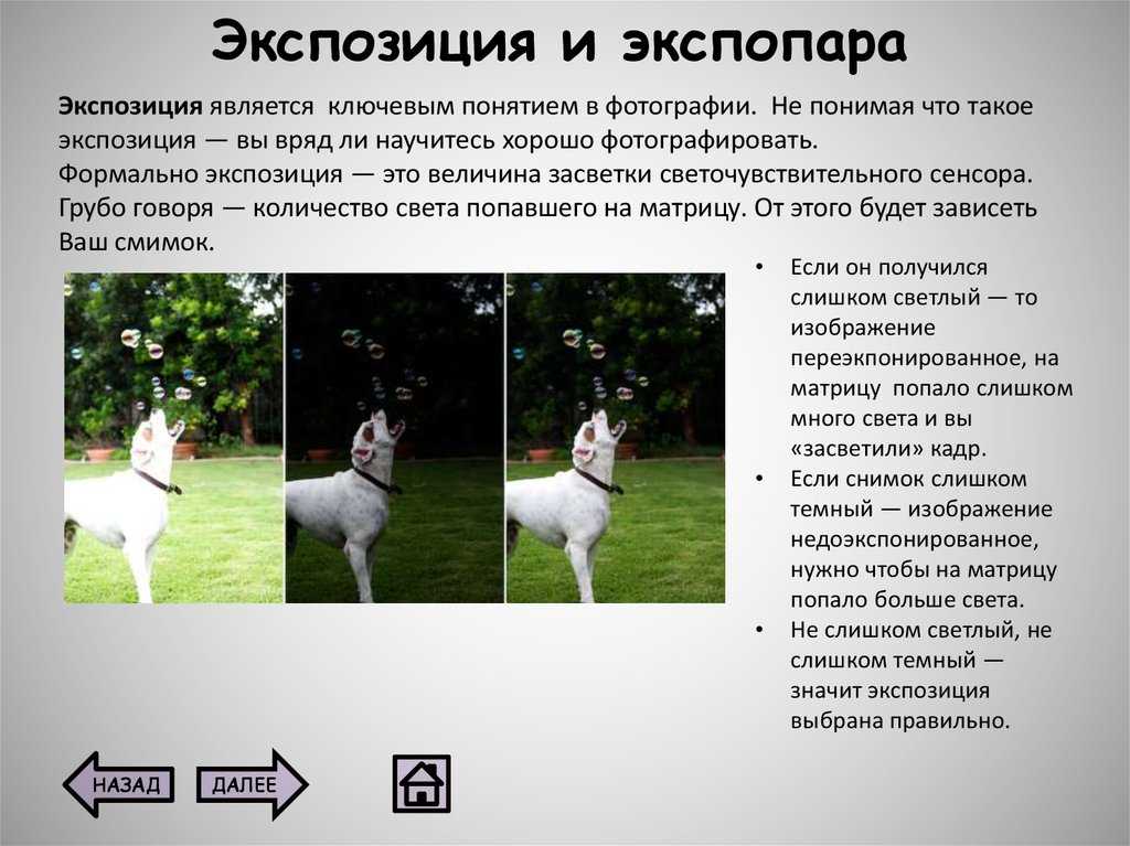 Статья про основные свойства экспозиции и элементы, которые влияют на ее настройку Экспозиция - это просто, главное помнить про диафрагму и выдержку