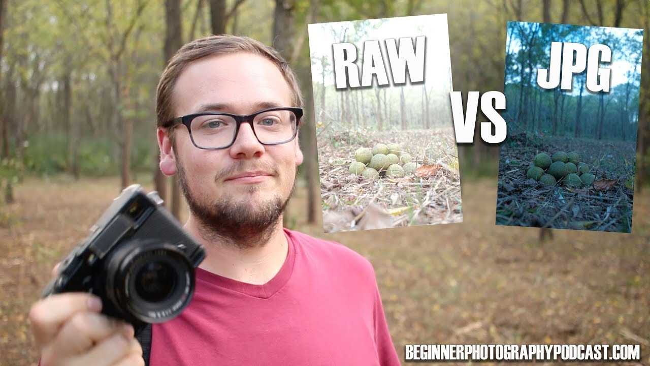 Raw или jpeg — какой формат изображений лучше и почему