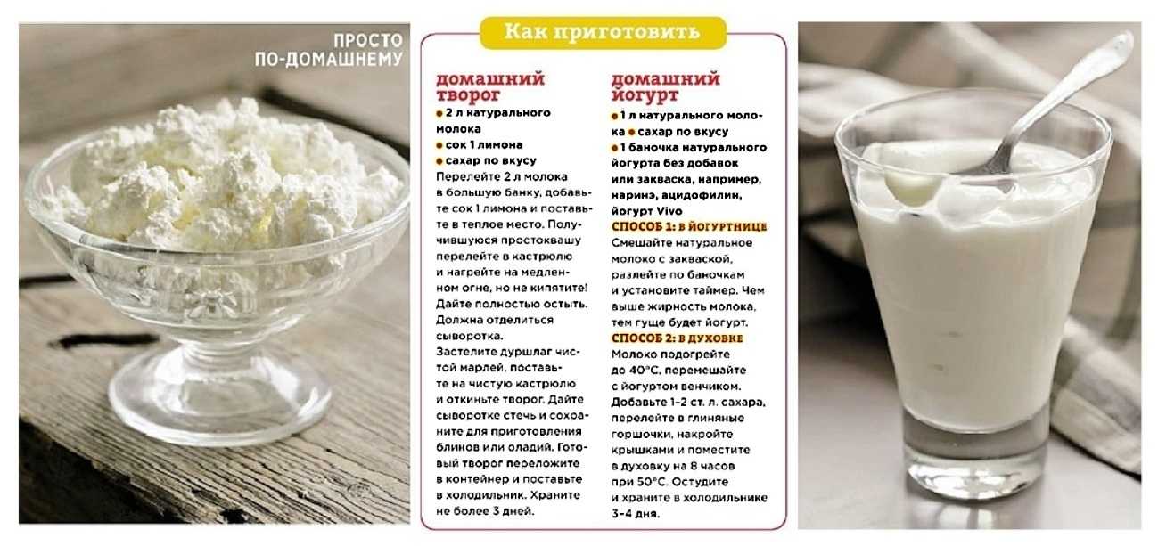 Что может приготовить йогуртница, и как она это делает — домашние советы