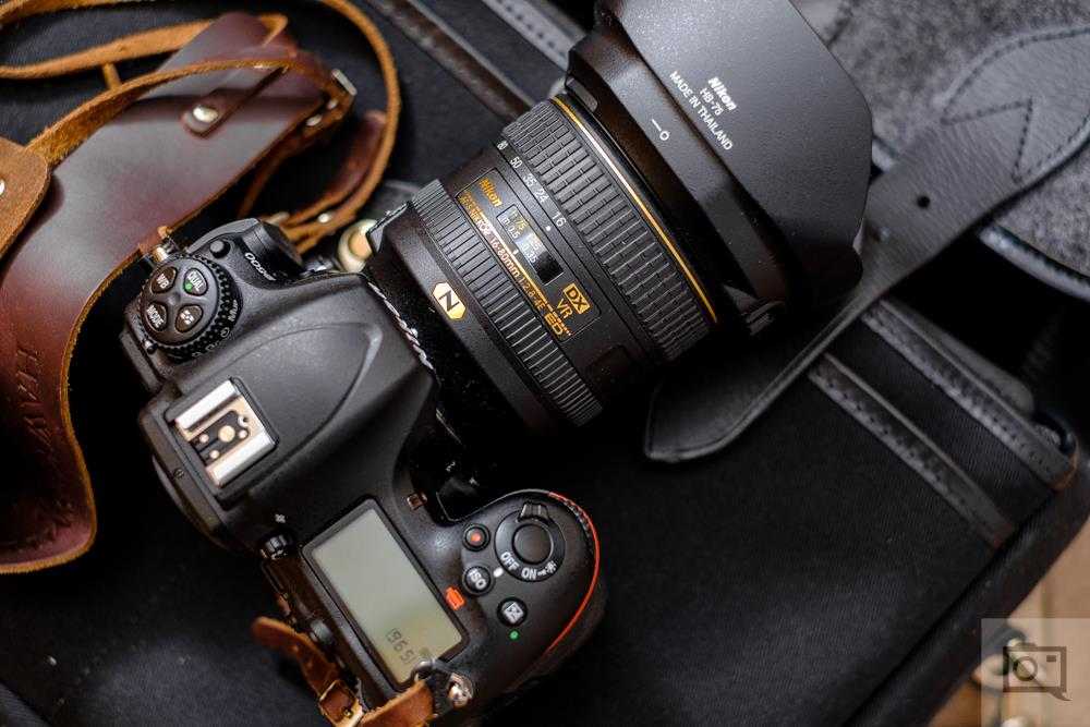 Nikon d100 vs. nikon d3100 - sensor comparison