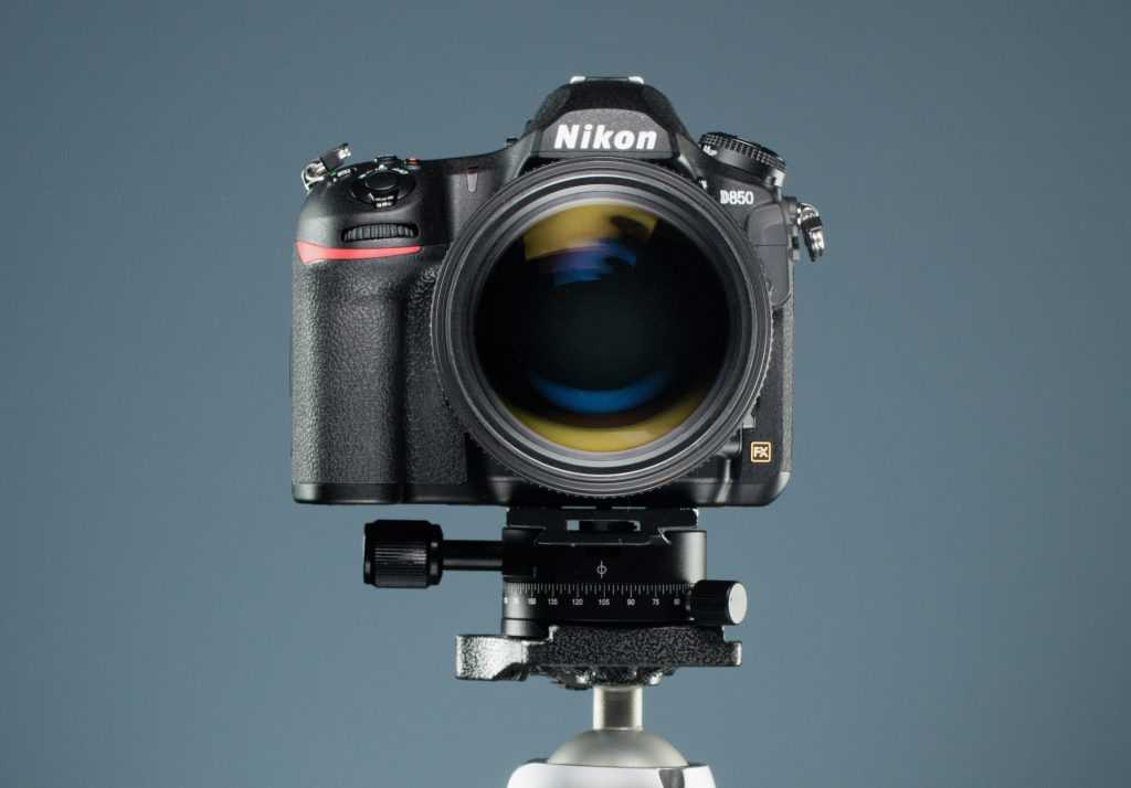 Nikon d100 характеристики Nikon d100 обзор от Радоживы - примеры фотографий на Никон Д100 и отзывы пользователей Nikon D100 тест