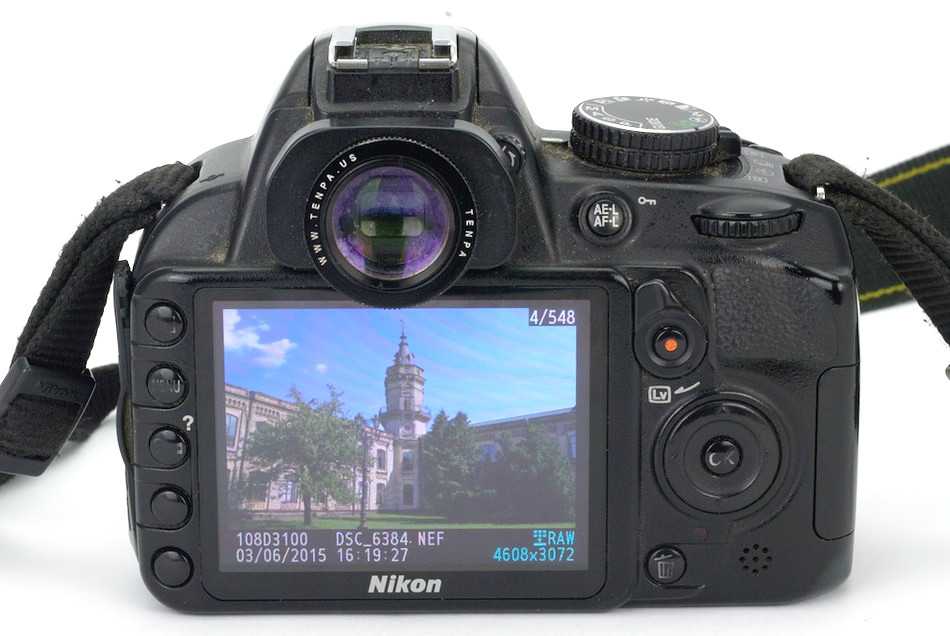 Обзор нового nikon d3100