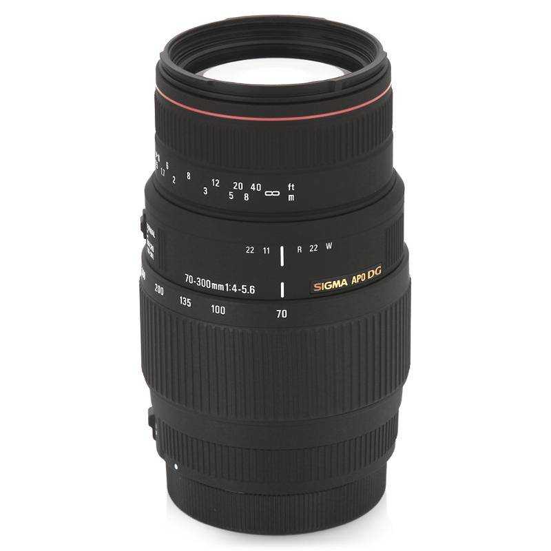 Обзор и тест sigma 100-300 f/4 apo dg hsm, или дедушка фрейд доволен! – фотокто